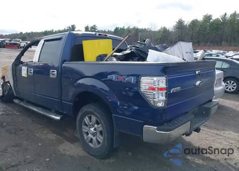 2010 Ford F-150 Fx4/Harley-Davidson/King Ranch/Lariat/Platinum/Xl/Xlt z USA, uszkodzony, nr VIN 1FTFW1EV0AFB48196